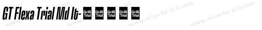 GT Flexa Trial Md It字体转换
